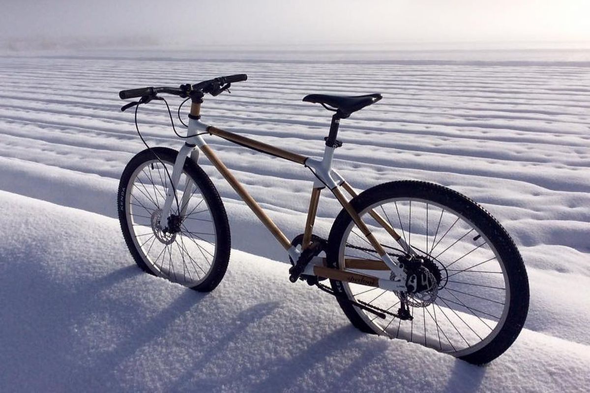 Sepeda bambu Spedagi