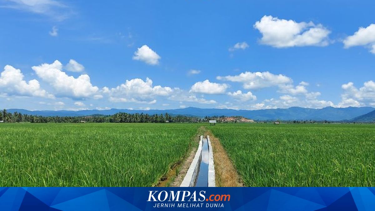 Lewat RJIT, Kementan Dukung Peningkatan Produktivitas Petani Seram Barat