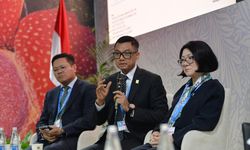 Di COP29, PLN Nyatakan Siap Dukung Target Pemerintah Manfaatkan Energi Terbarukan 75 Persen hingga 2040