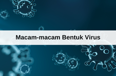 Macam-macam Bentuk Virus