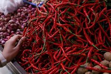 Pasokan Kurang, Harga Cabai Rawit Merah Naik hingga Rp 160.000 Per Kg