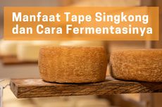 Manfaat Tape Singkong dan Cara Fermentasinya