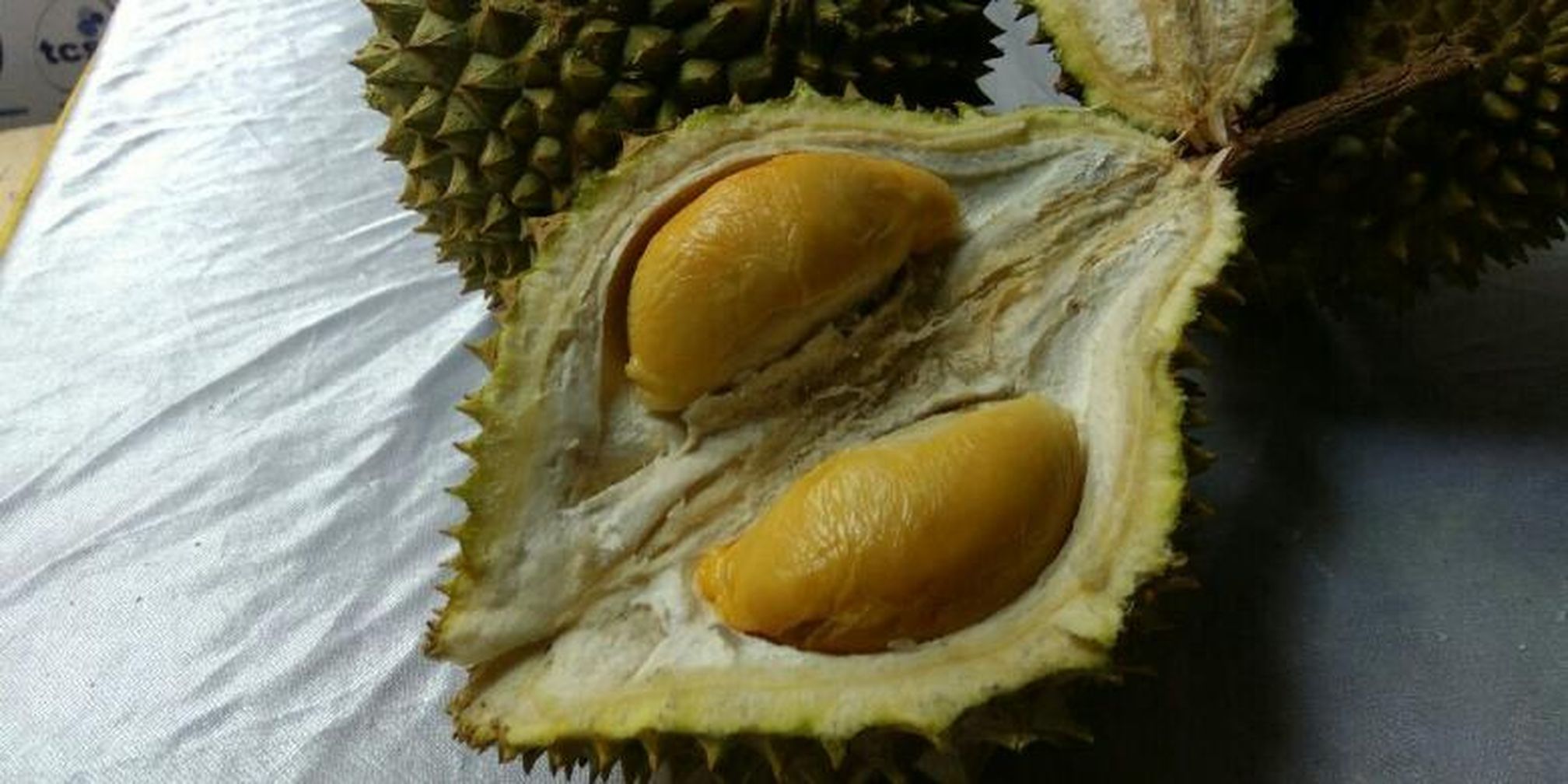 Download 40 Koleksi Gambar Durian Gokil Terbaik HD