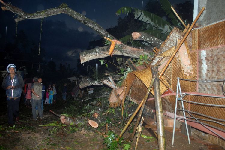Sejumlah warga melihat lokasi tumbangnya pohon mahoni di Kampung Palasari, Desa Sudajayagirang, Kecamatan/Kabupaten Sukabumi, Jawa Barat, Rabu (3/5/2017) malam. Pohon mahoni tumbang saat hujan deras mengguyur disertai angin kencang sekitar pukul 16;00 Wib.