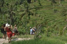 Rupiah Melemah, Peluang Devisa bagi Pariwisata Indonesia