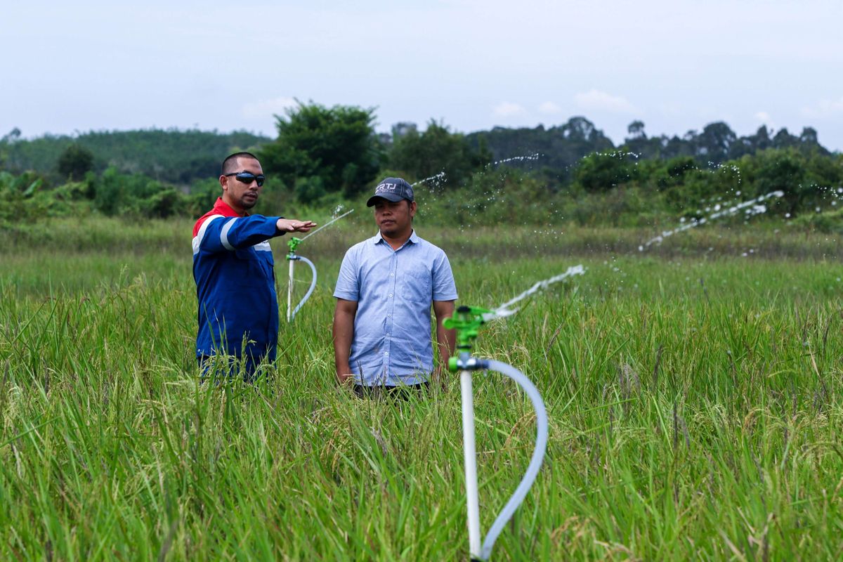 Pertanian Tahan Iklim di PALI, Tingkatkan Produksi dengan Teknologi