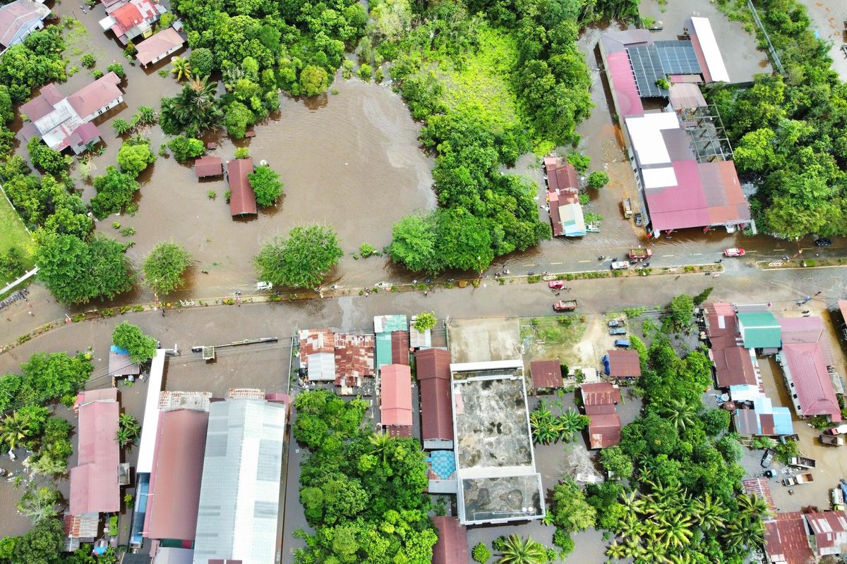 Pentingnya Menjaga Hutan, Musim Hujan, dan Potensi Bencana di Kalteng...