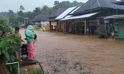 Banjir Terjang Kapahiang, Kementan Imbau Petani Setempat Siapkan Mitigasi 