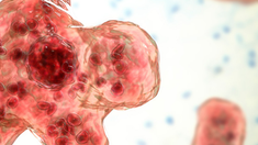 Amoeba Pemakan Otak Gemparkan India, 19 Orang Tewas 