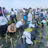 PLN Tanam 72.400 Pohon Mangrove untuk Lindungi Pesisir dan Dukung Ketahanan Pangan