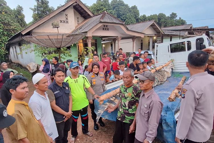 Proses evakuasi buaya dari muara Bukit Layang, Bangka, Jumat (2/6/2023).