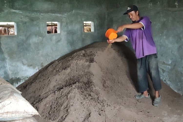 Rojai menyiramkan zat probiotik di tumpukan kotoran sapi padat yang telah difermentasi sebelum di kandang ternaknya di tengah area persawahan di Desa Tegalkarang Kecamatan Palimanan Kabupaten Cirebon, Rabu (13/3/2024) siang. Kotoran padat yang telah dibuat serbuk ini siap dikemas dan dikirimkan ke pembeli.