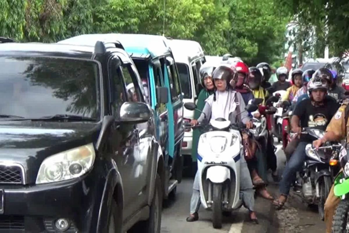 Mobil Tumbangkan Pohon Hingga Terguling di Jalan Raya, Trans Sulawesi Macet 2 Kilometer