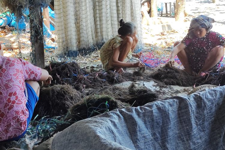 Digitalisasi Petani Rumput Laut, e-Seaweed Dibuat untuk Buka Akses Pembiayaan