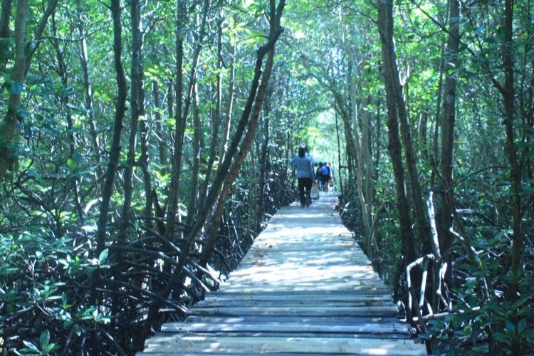 Foto: Para pengunjung di kawasan wisata mangrove Magelo'o, Desa Reroroja, Kecamatan Magepanda, Kabupaten Sikka, NTT.  