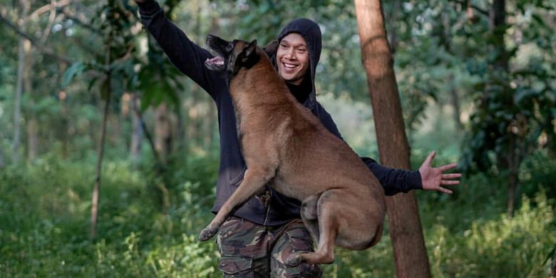 Kasus Anjing Bima Aryo Gigit Art Lakukan Ini Agar Tak Meninggal
