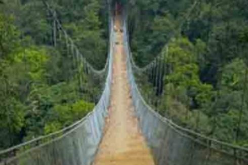 Jembatan Gantung Terpanjang di Asia Tenggara Terletak di Sukabumi: Jam Buka dan Harga Tiket 