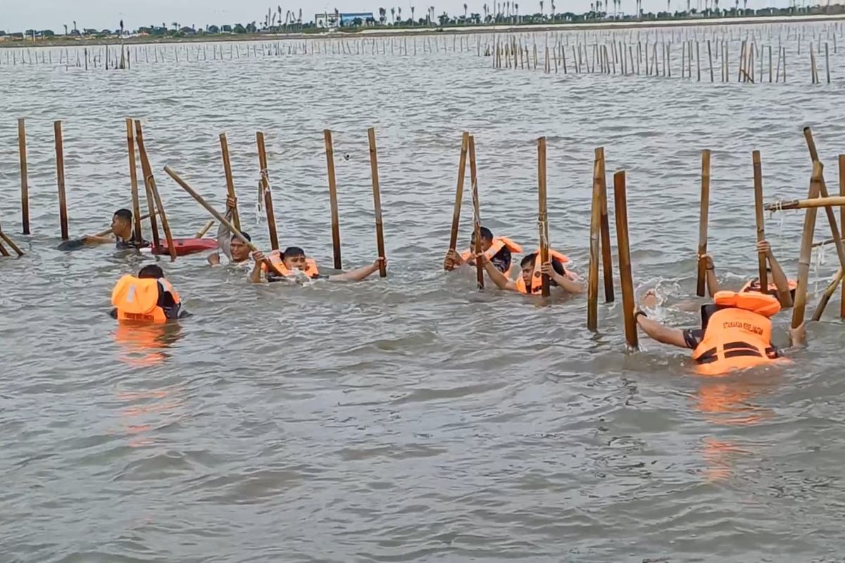 600 Prajurit TNI AL Bongkar Pagar Laut Ilegal di Tangerang yang Rugikan Nelayan