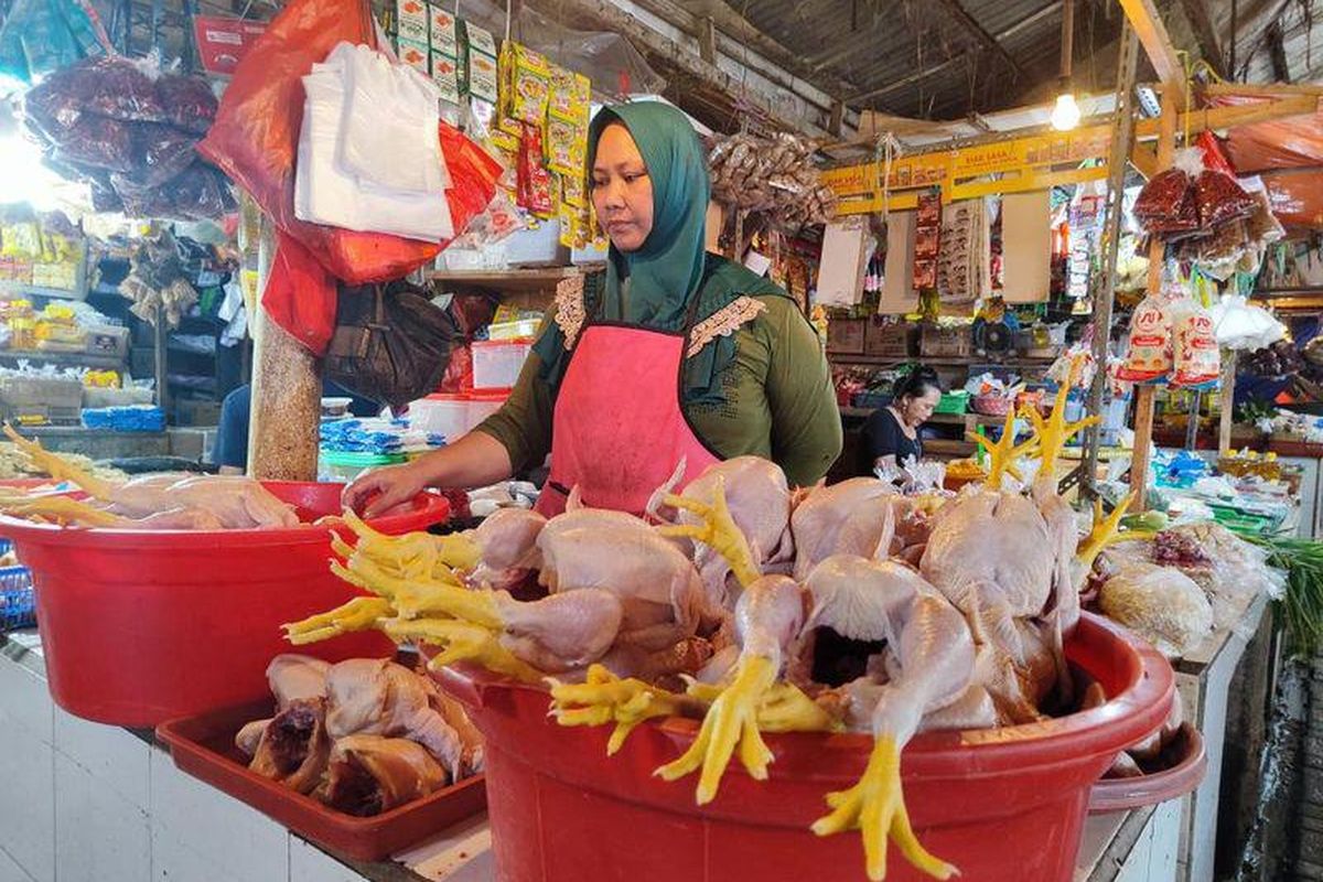 Robeha, salah satu penjual daging ayam di Pasar Jaya Pasar Minggu, Jakarta Selatan, Selasa (1/8/2023)