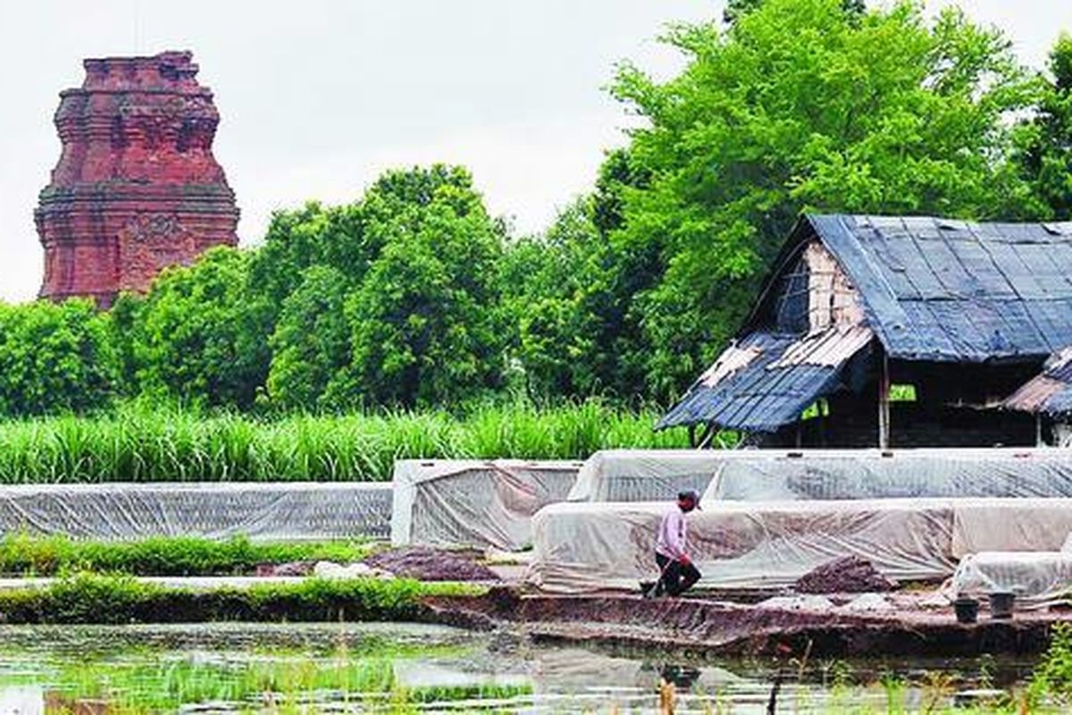Buruh pembuat bata merah mengolah tanah di lokasi yang bersebelahan dengan Candi Brahu peninggalan zaman Majapahit di Desa Bejijong, Kecamatan Trowulan, Mojokerto, Selasa (30/12). Keberadaan ratusan industri bata merah di Trowulan menjadi salah satu faktor banyaknya sisa bangunan purbakala peninggalan Majapahit yang rusak bahkan hilang karena aktivitas penggalian tanah.