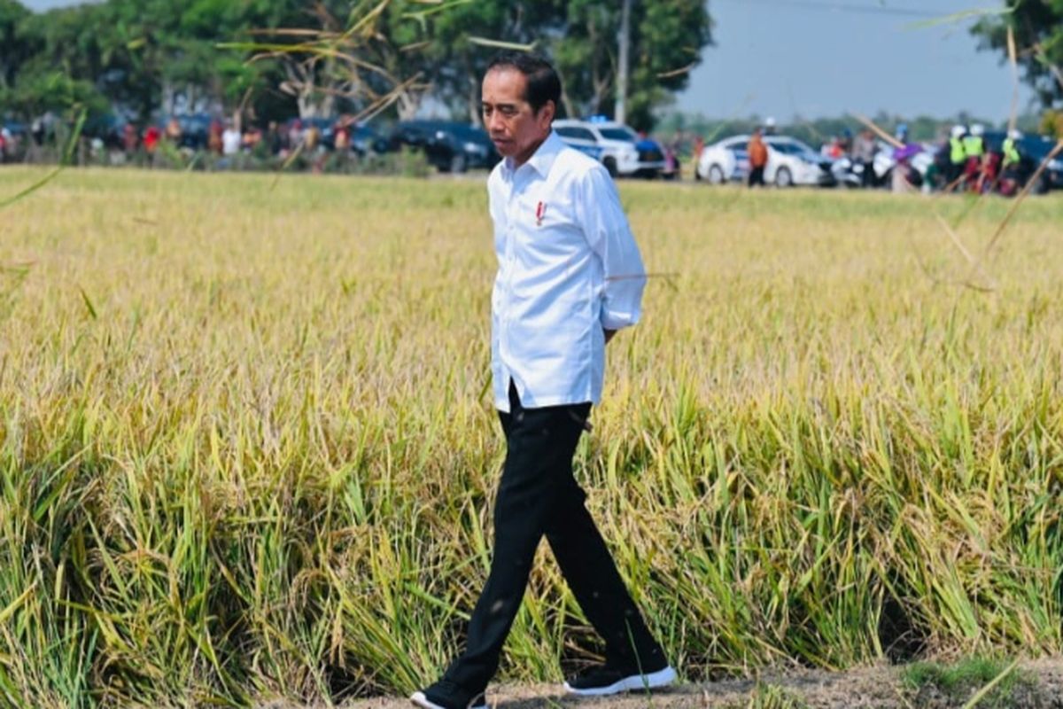Jokowi memutuskan melakukan impor beras.