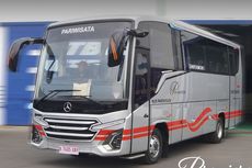 White Horse Luncurkan 5 Unit Medium Bus Baru, Pakai Sasis Mercy