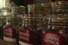 Inilah Festival untuk Pecinta Kopi Luwak