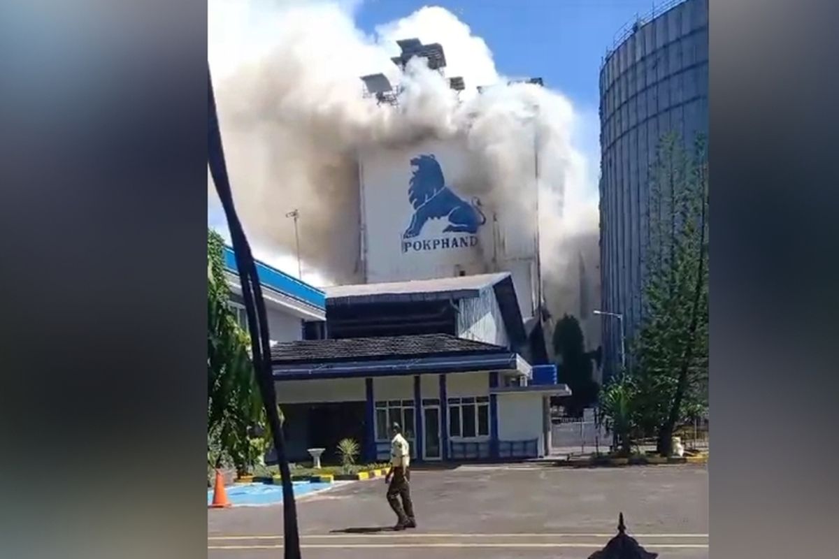 TERBAKAR: Gedung pabrik pakan ternak di kawasan Kima, Kecamatan Tamalanrea, Kota Makassar, Sulsel, terbakar hebat, Senin (1/4/2024).