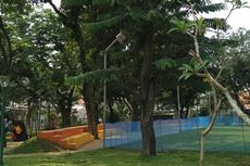 Ahok Minta Semua Pohon di Jakarta Dimasukkan Smart City