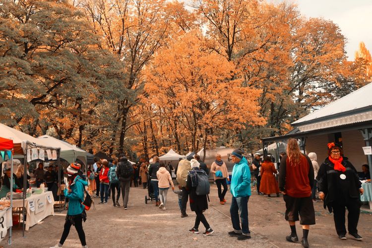 Bulan April merupakan waktu yang tepat untuk merayakan panen tahunan dan menikmati banyak festival. Di sana, Anggey berkesempatan mengikuti Akarua Arrowton Autumn Festival yang memperlihatkan kecantikan musiman dan sejarah dari kota tersebut.