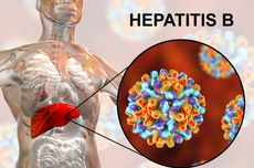 Apakah Hepatitis B Bisa Sembuh? Berikut Penjelasannya…