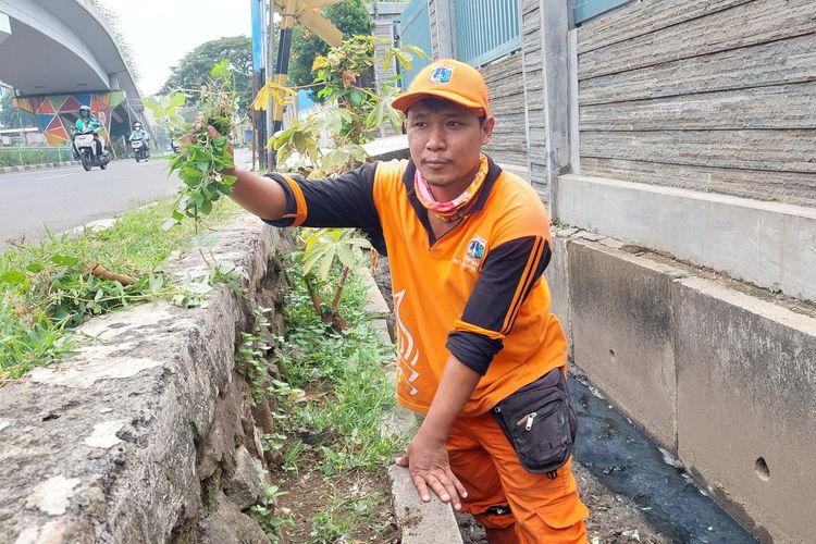 Robbi Firli Adi (28), anggota PPSU Kedoya Utara, Kebon Jeruk, Jakarta Barat, saat membersihkan saluran di Kedoya Utara, Kebin Jeruk, Jakarta Barat. 