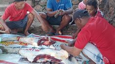 Curhat Korban Bencana Aceh: Senang Dapat Hewan Kurban, Sedih Ekonomi Belum Pulih