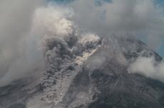 Saat Merapi Terus Mengeluarkan Rentetan Awan Panas Guguran...