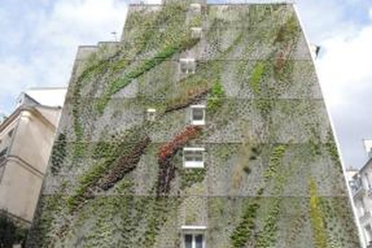 Bangunan yang ada di sudut Rue d'Aboukir dan Rue des Petits-Carreaux di Deuxieme Arrondisement, Paris, ini tampak kosong. Fasad sisi bangunan tersebut hanya ditutupi beton-beton ekspos tanpa ornamen. 