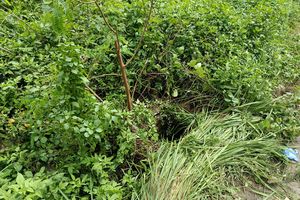 Warga Temukan Bekal dan Botol Minum di Lokasi Penemuan Mayat Perempuan di Rawalumbu