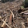 Kemenhut Bersihkan 1.272 Meter Gelondongan Kayu Pasca Banjir Sumatera