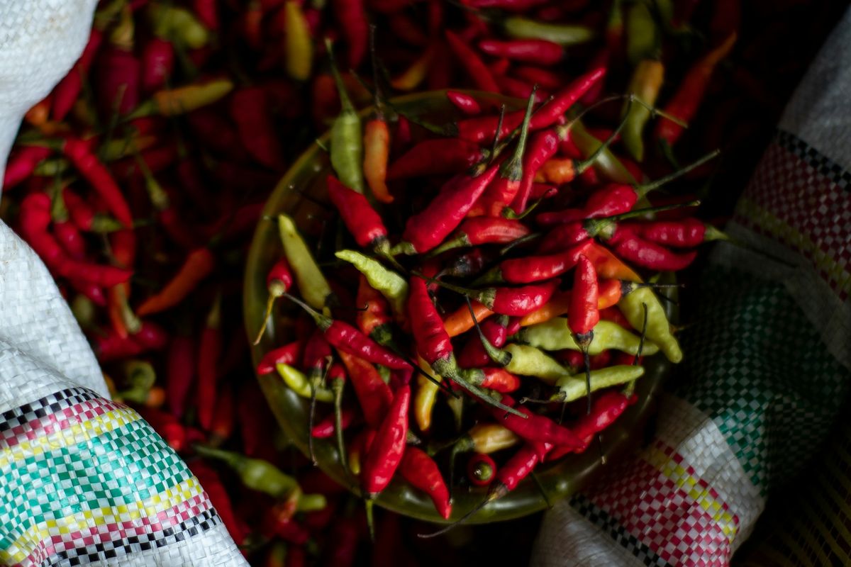 Harga Cabai di Jateng Sempat Tembus Rp 150.000 per Kg, Kini Berangsur Turun Jadi Rp 90.000
