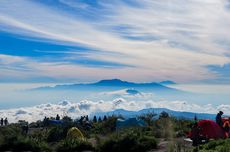 Puncak B29 Ditutup Sementara Dampak Karhutla di TNBTS