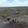 Fosil Langka di New Mexico Bantah Teori Lama Soal Akhir Zaman Dinosaurus