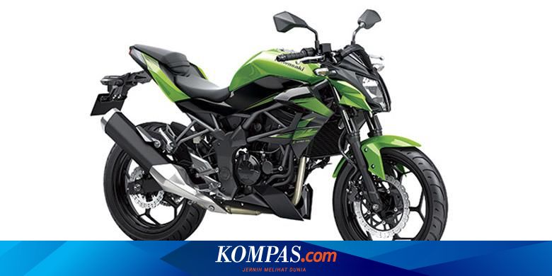 Ninja 250 sl naked hot sale