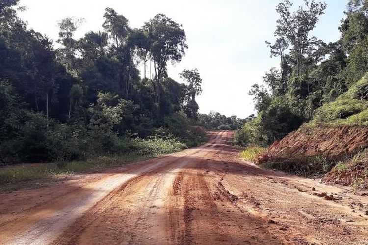Jalan Trans Papua ruas Merauke-Boven Digul-Tanah Merah.