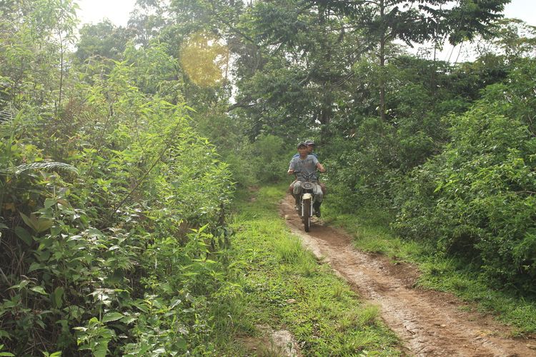 Warga desa Tebat Benawa, Kelurahan Penjalang, Kecamatan Dempo Selatan, kota Pagaralam, Sumatera Selatan pulang dari kebun usai bercocok tanam di dalam kawasan hutan rakyat. Aktivitas perkebunan di wilayah tersebut sempat terhenti setelah sebelumnya tiga petani tewas diterkam harimau karena merambah hutan lindung yang ada disana.