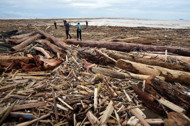 BANJIR SUMBAR: Sejumlah warga berjalan di antara potongan kayu gelondongan yang bertumpuk di pantai Air Tawar, Padang, Sumatera Barat, Jumat (28/11/2025). Sampah kayu gelondongan itu menumpuk di sepanjang pantai Padang pascabanjir bandang beberapa hari terakhir.  