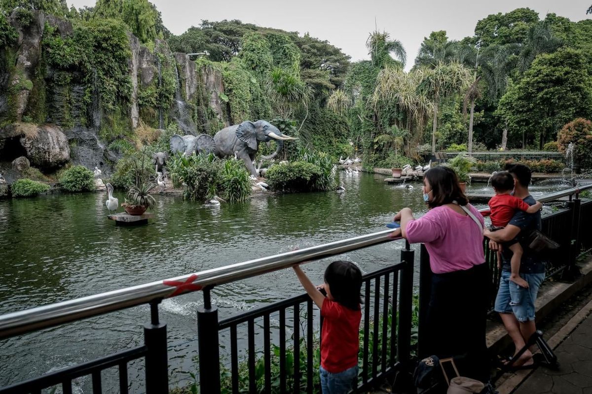 Ilustrasi wisatawan di Taman Margasatwa Ragunan (Kebun Binatang Ragunan), Jakarta Selatan.
