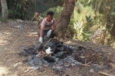 Curiga Flu Burung, Warga Bakar Bangkai Unggas di Lereng Menoreh