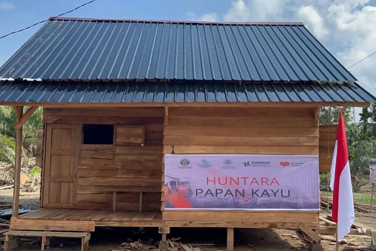 Ilustrasi huntara yang dibangun menggunakan kayu hanyutan.