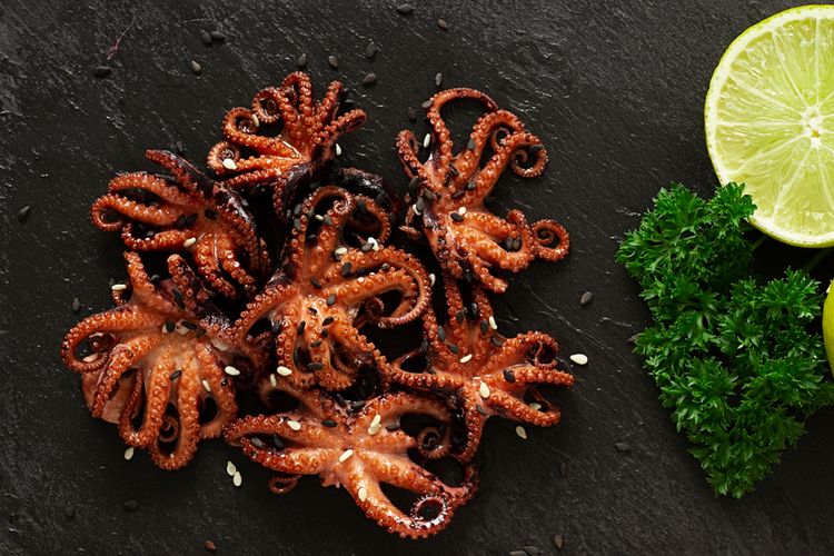 Ilustrasi gurita panggang atau grilled baby octopus.