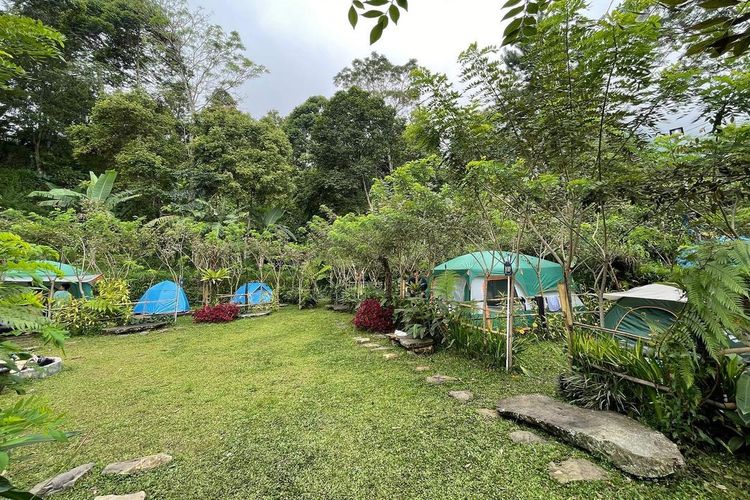 Lembah Pinus Camp & Cafe, Bogor, Jawa Barat DOK. Instagram.com/lembahpinus.id