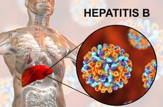Mengenal Apa Itu Hepatitis B, Gejala, Penyebab, dan Cara Mengatasinya